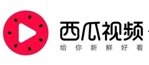 吃瓜大赛 58视频入口,吃瓜大赛，精彩瞬间一网打尽！