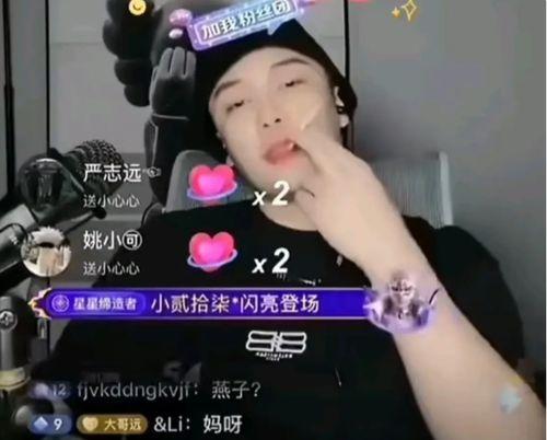 网红黑料是什么意思,网络舆论背后的真相与反思